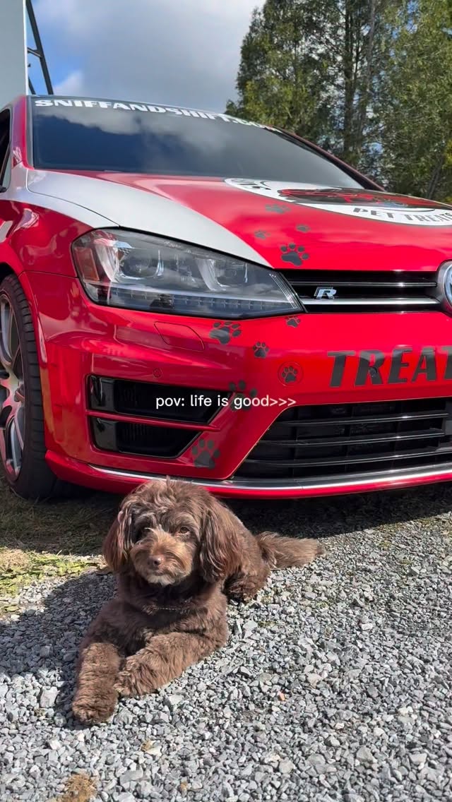 These last couple of weeks have been absolutely crazy with events,, Sniff and Shift on Instagram