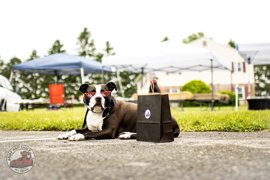 We wanted to show a little love to one of the top dogs we know, Sniff and Shift on Instagram