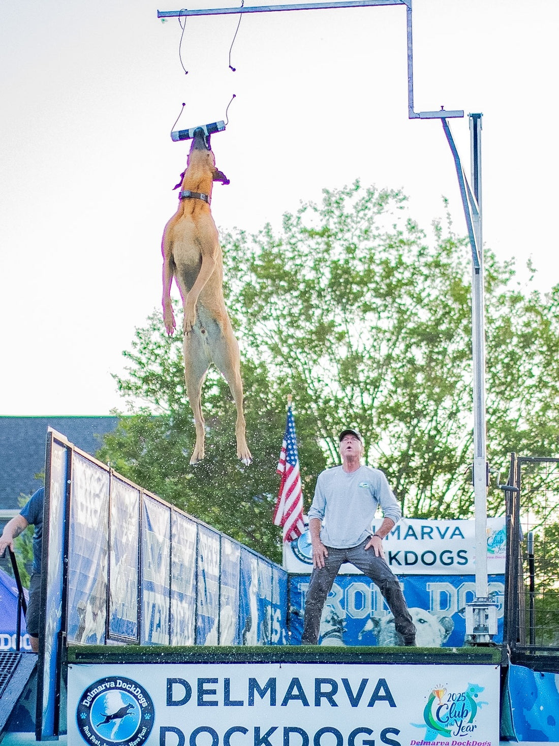 We’re excited to be back with these high-flying pups this weekend, Sniff and Shift on Instagram
