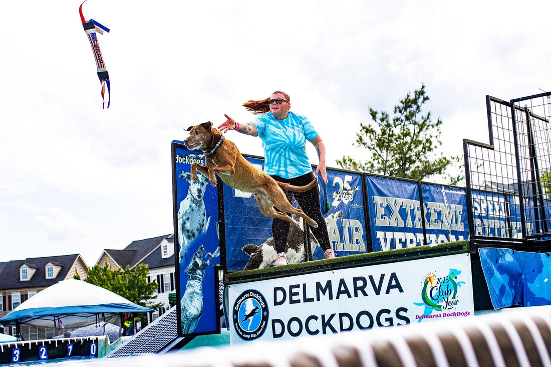 We had an absolute blast hanging out with the DockDogs this past, Sniff and Shift on Instagram