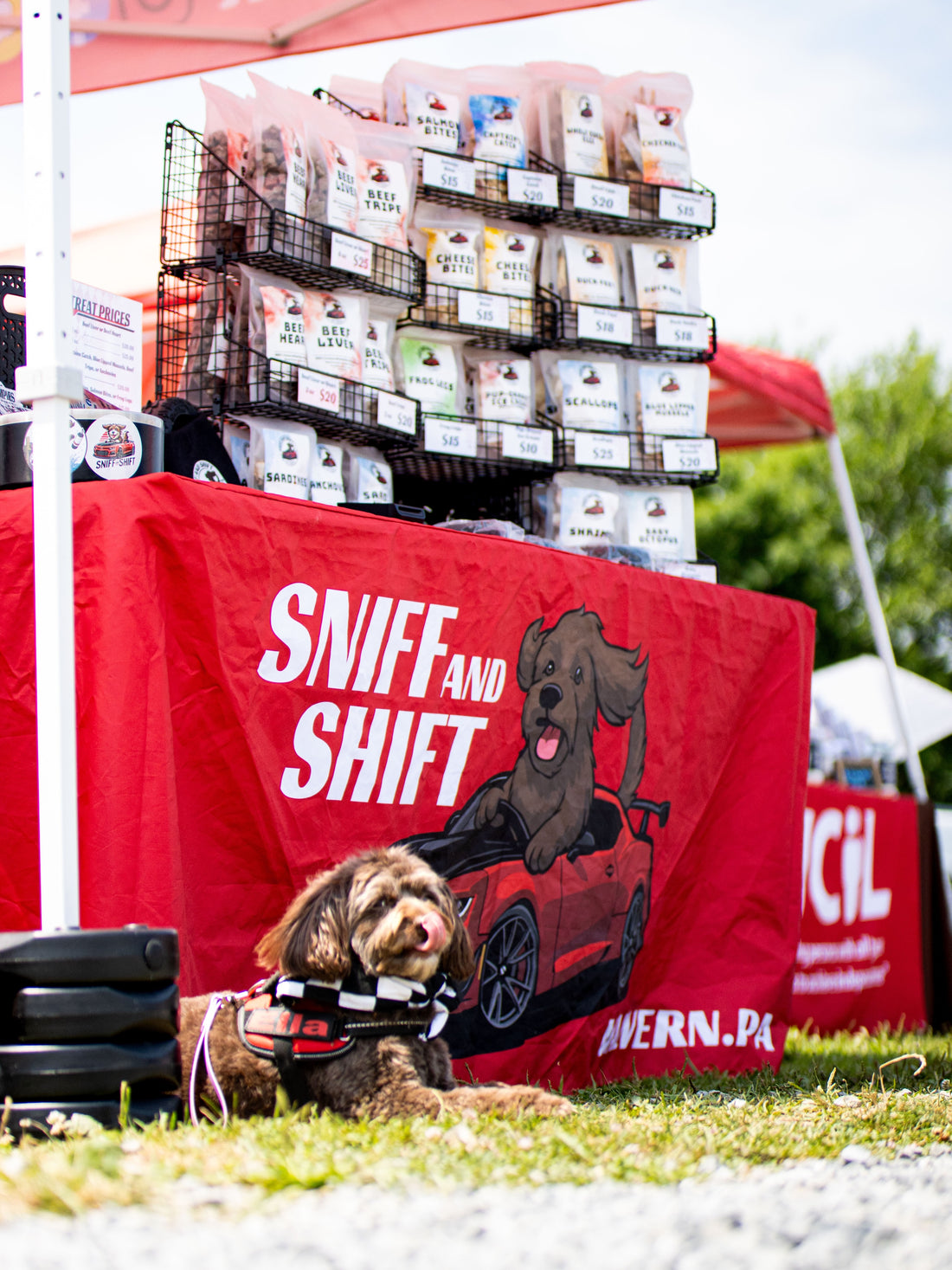 Pit Crew Post, July 16, 2026, Sniff and Shift on Instagram