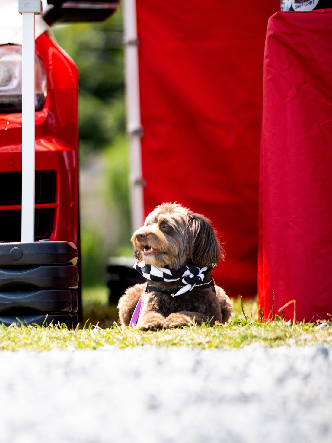 Every crew needs a quality control manager… ours just happens to, Sniff and Shift on Instagram