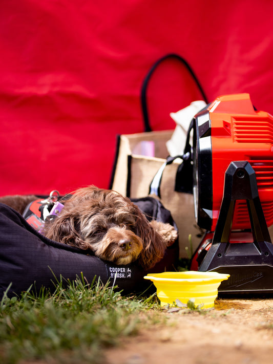 Even the best adventure buddies know when it’s time for a pit stop, Sniff and Shift on Instagram