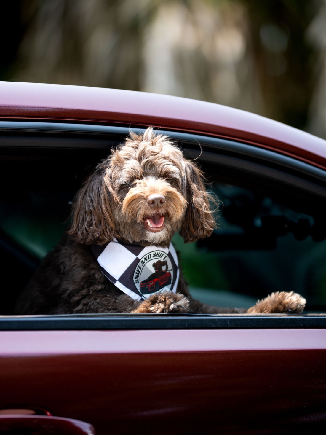 The destination is optional, Sniff and Shift on Instagram