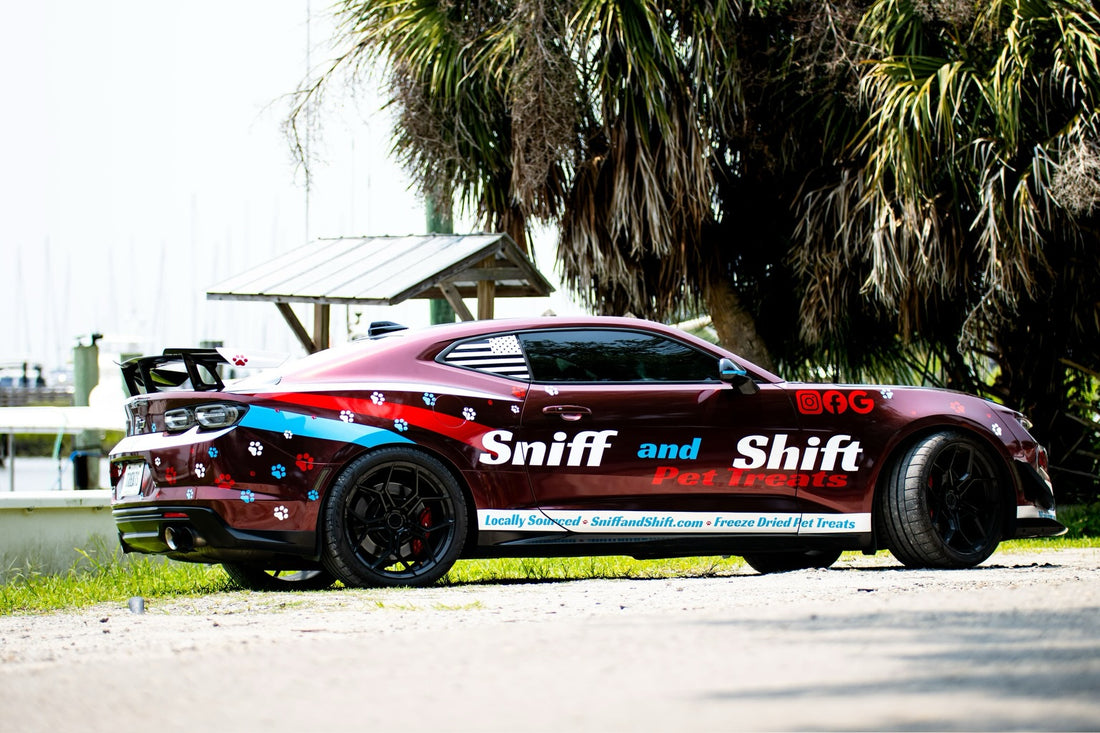 More than a car, Sniff and Shift on Instagram