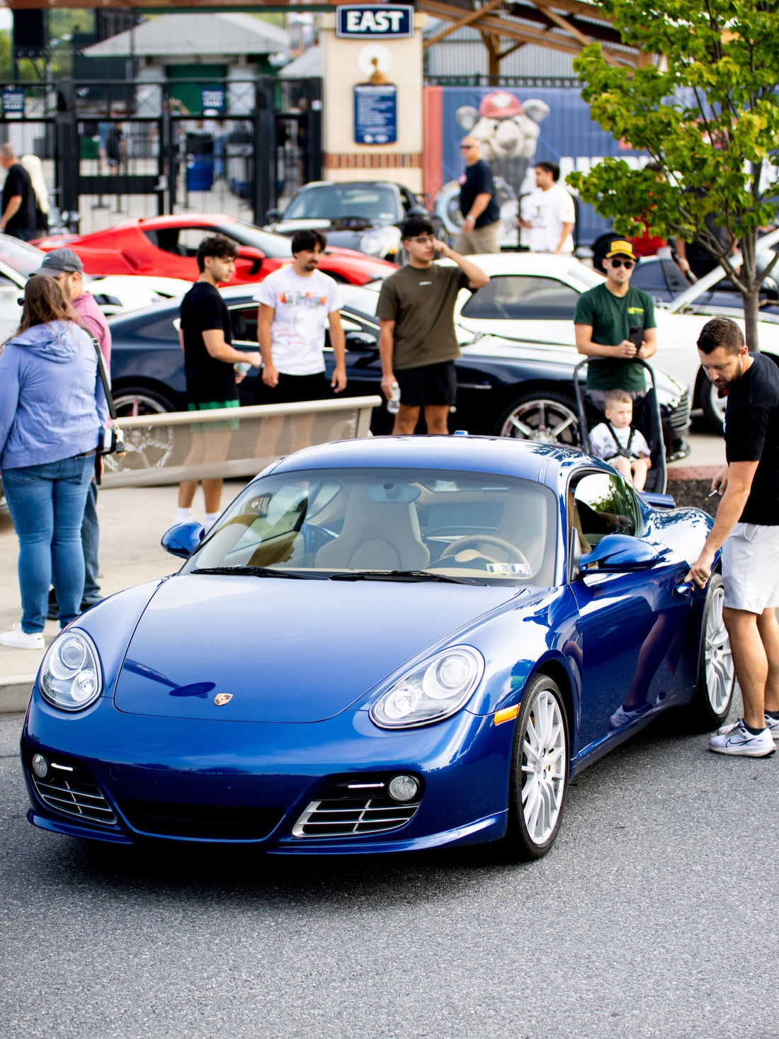 Blue looks pretty good in a crowd, Sniff and Shift on Instagram