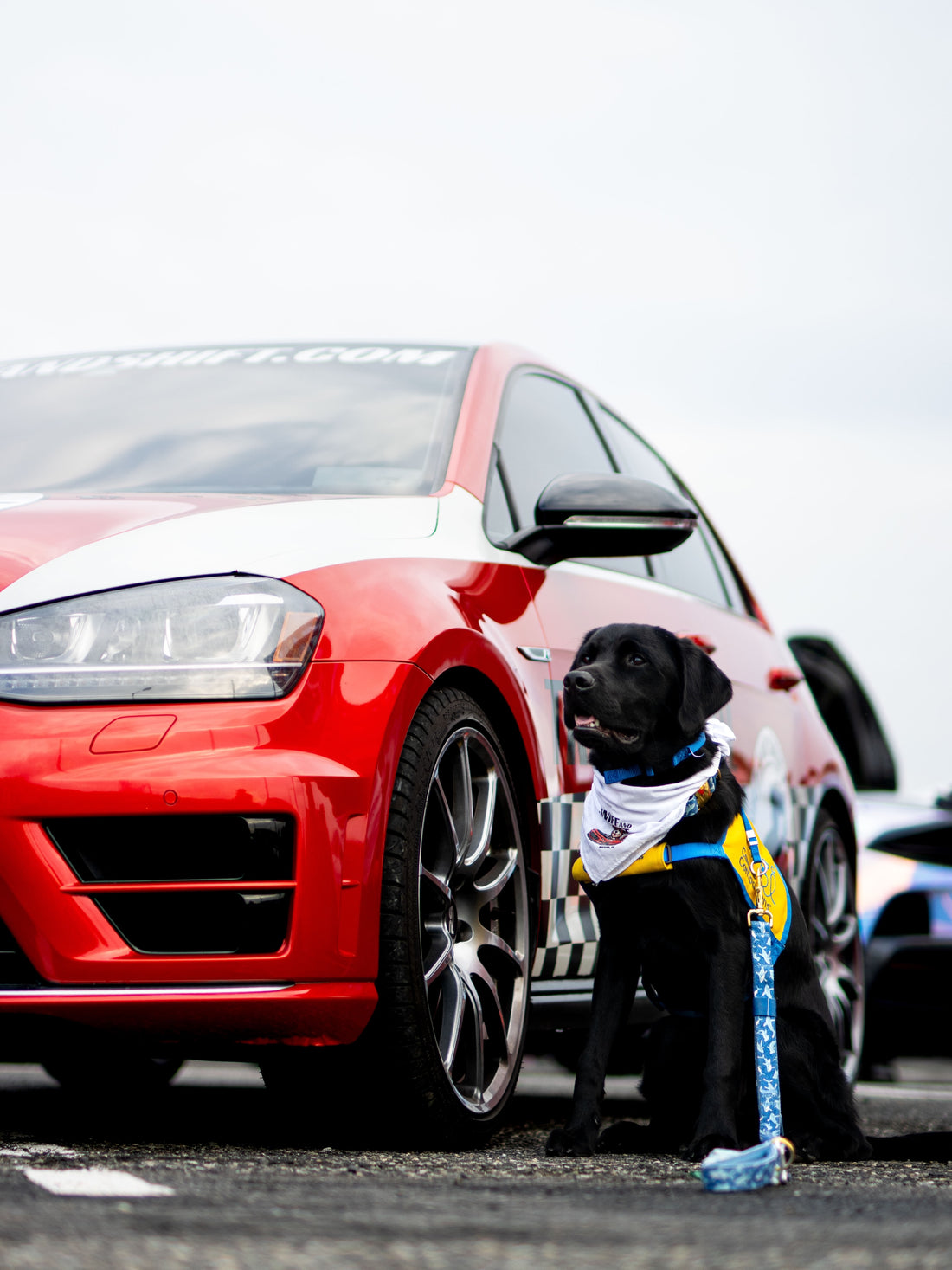 Last ADK Supercars at Sunset, we had the pleasure of finally, Sniff and Shift on Instagram
