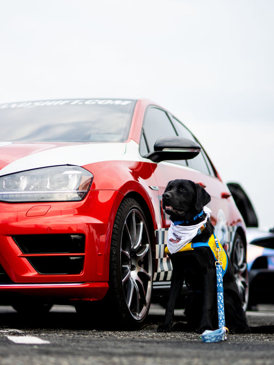 Last ADK Supercars at Sunset, we had the pleasure of finally, Sniff and Shift on Instagram