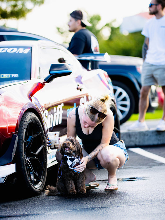 Does your dog have an emotional support person specifically for, Sniff and Shift on Instagram