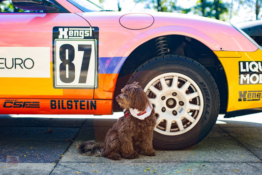 With LOE Show right around the corner, it only feels right to, Sniff and Shift on Instagram