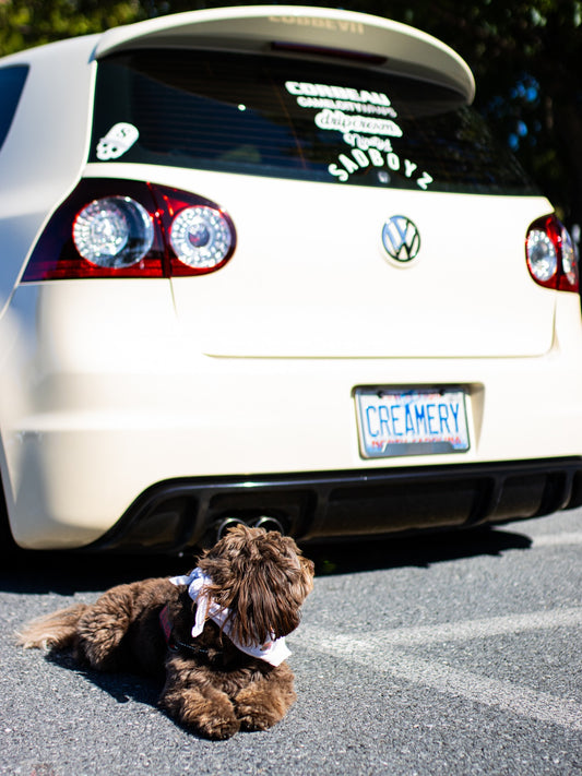 VW weekend is officially here, Sniff and Shift on Instagram