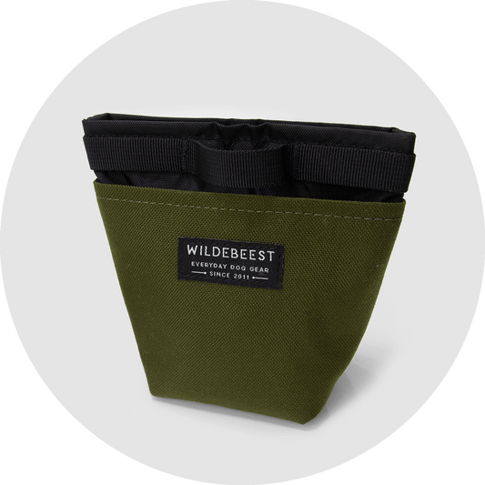 Olive Alamo dog treat pouch with magnetic snap top and an outside daisy chain
