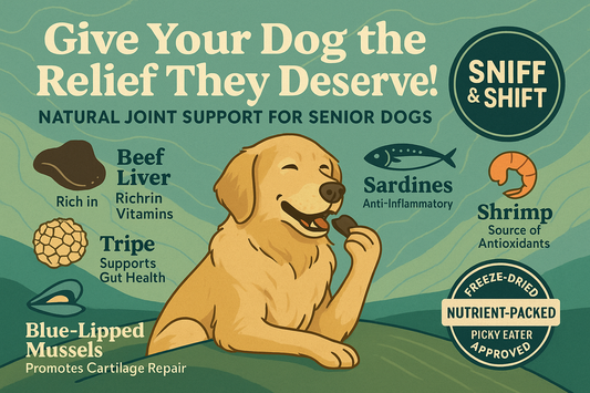 Senior Dogs with Arthritis