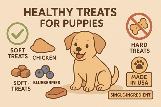 Healthy Puppy Treats: What to Feed, What to Avoid, and Why Size Matters