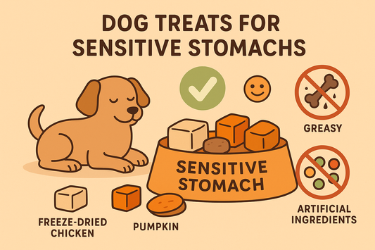Gentle Treats for Sensitive Stomachs: What to Feed (and Avoid)