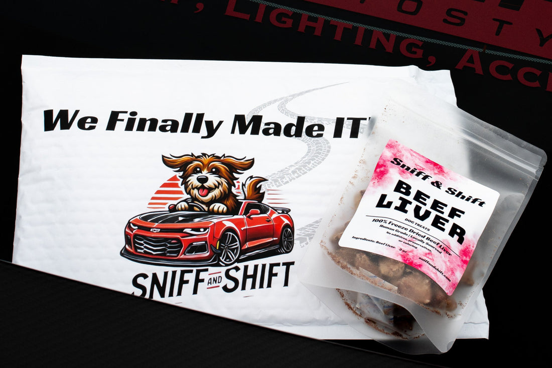 Freeze-dried treats and supplies packed into a compact DIY dog travel kit