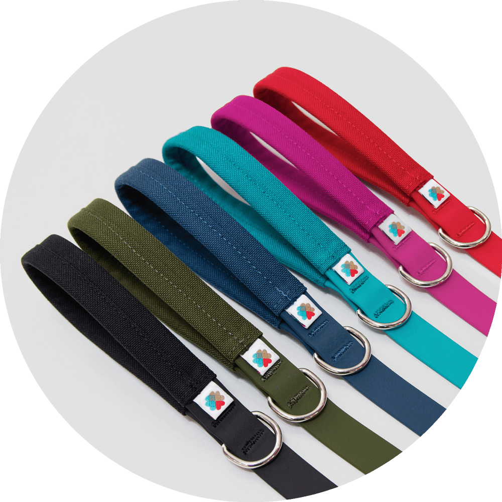 Wildebeest Funston waterproof dog leashes in several colors, coated webbing with swivel hooks