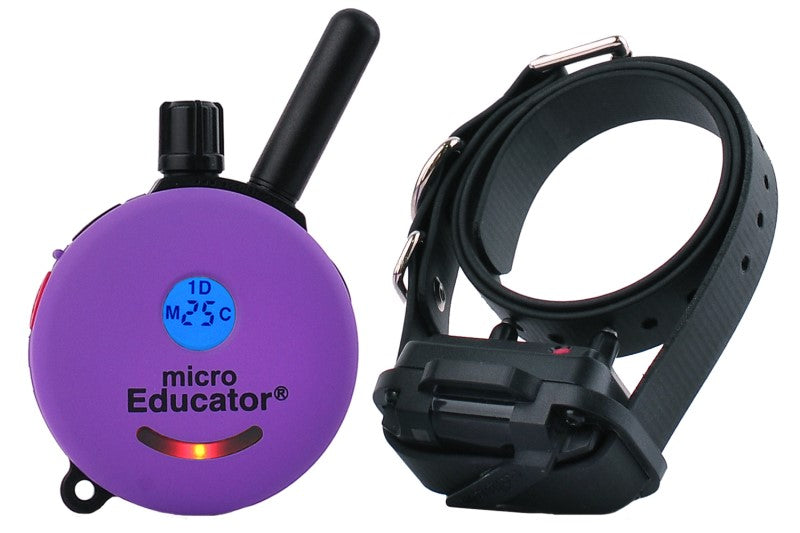 Micro Educator ME-300 remote transmitter and small receiver on a black collar strap