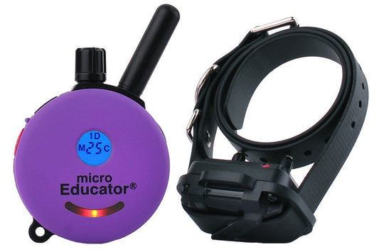 Micro Educator ME-300 remote transmitter and small receiver on a black collar strap