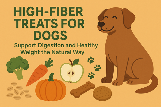 High-Fiber Treats for Dogs: Tummy and Health Benefits