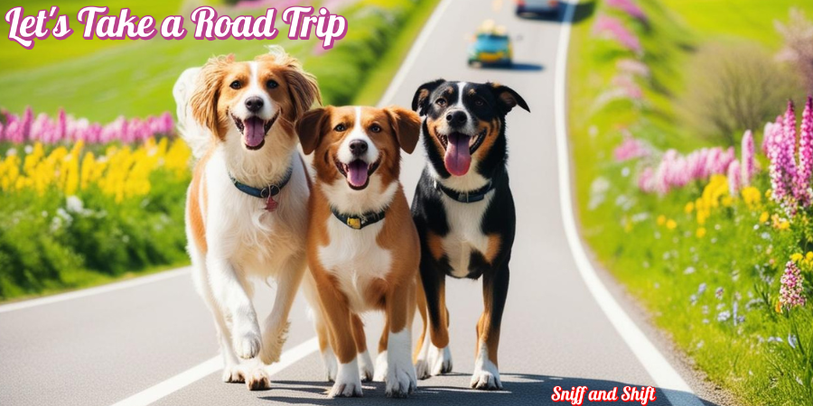 Dog with its head out the car window on a spring road trip