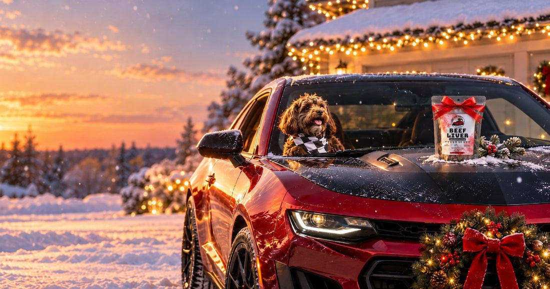 Red Camaro with a wreath on the grille in snow at dusk, Ella in the window and a treat pouch on the hood