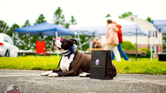 Community co-pilot dog in sunglasses and a checkered bandana at a Sniff and Shift event