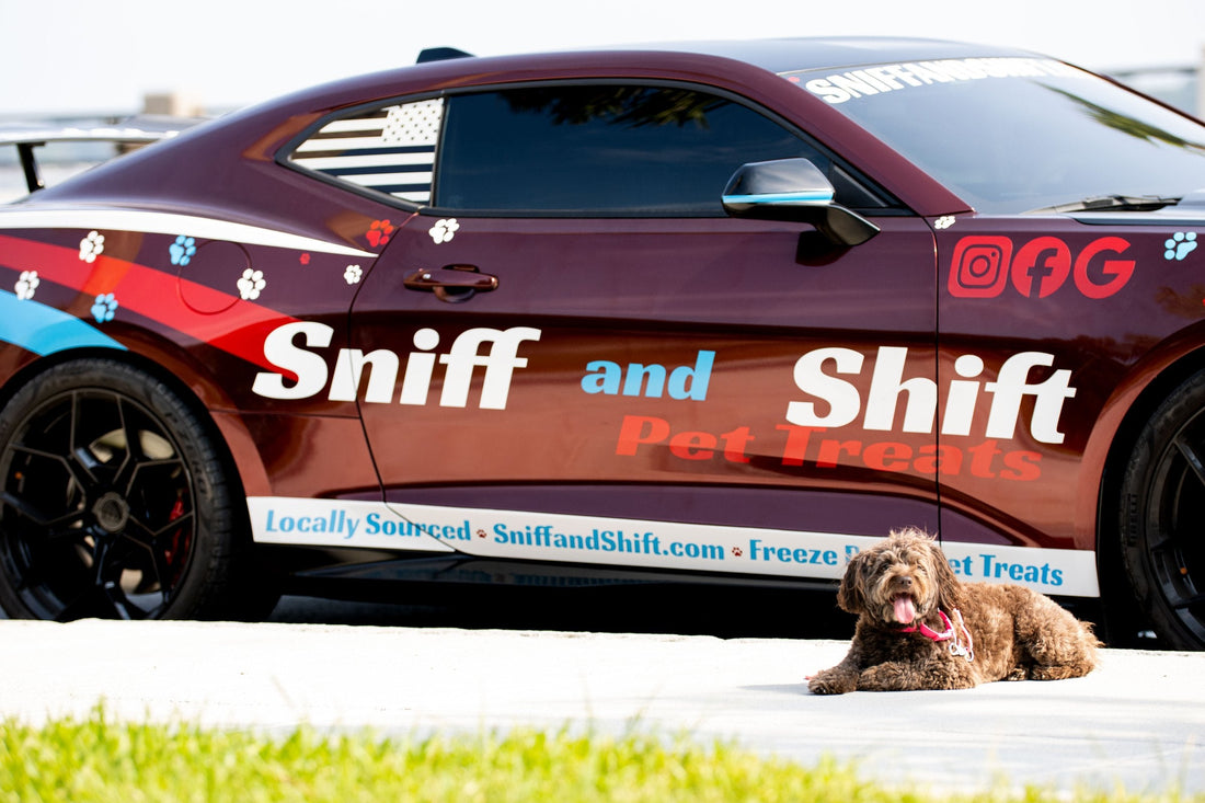 Ella lying on the grass in front of the Sniff and Shift wrapped Camaro door