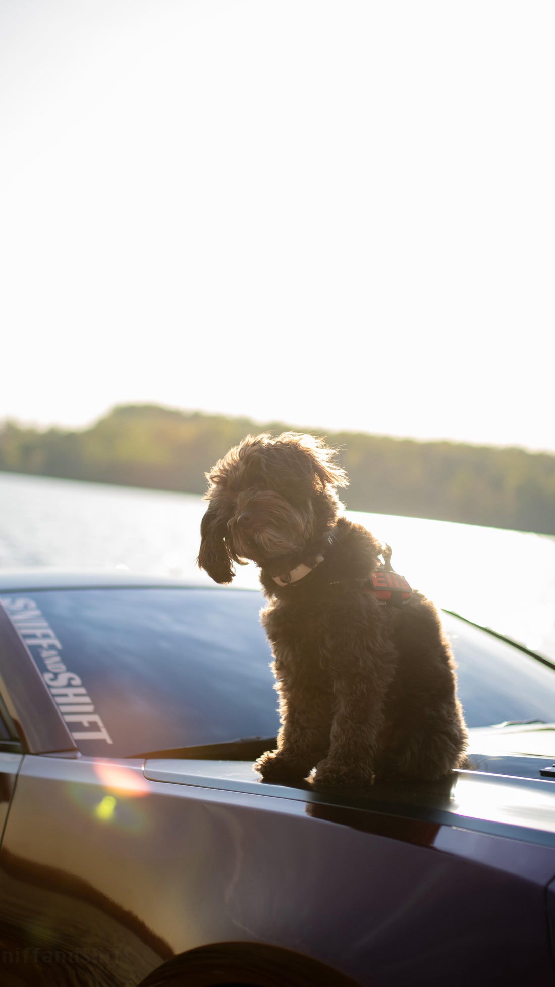 Camaros or Subarus… which side are you on, Sniff and Shift on Instagram
