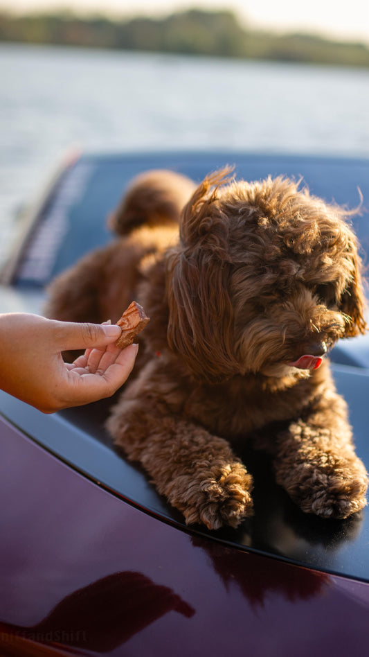 That guy must really like Sniff & Shift… but can you blame him, Sniff and Shift on Instagram