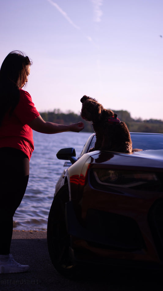 Fast cars, great friends, and furry co-pilots riding shotgun,this, Sniff and Shift on Instagram