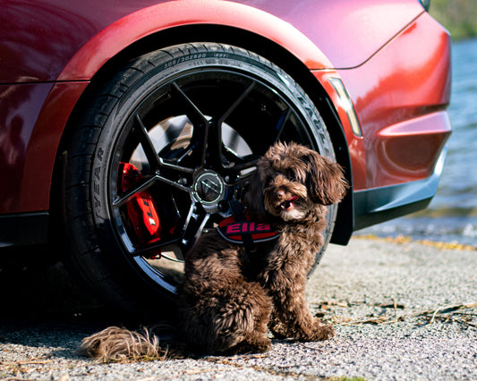 Ella sitting beside the red Camaro's wheel with the lake behind, wide