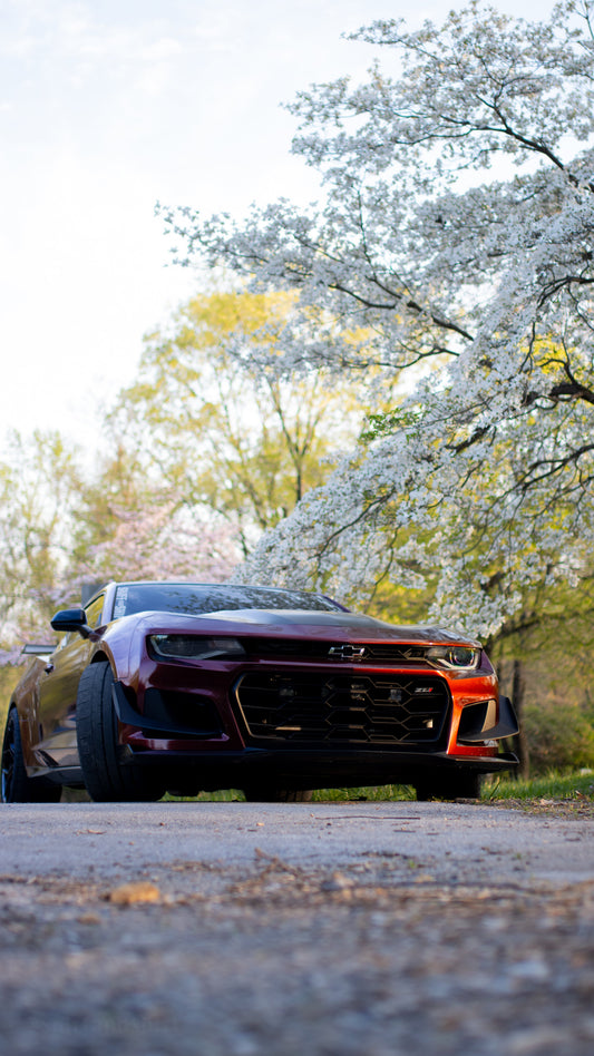 Red Camaro under white blossoms by the lake, portrait framing, low angle