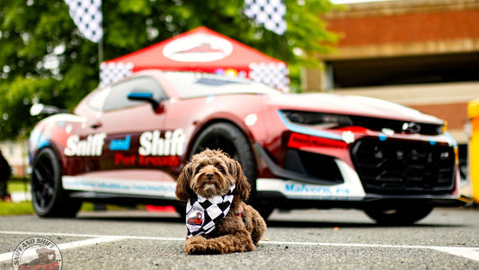 Sniff and Shift dog with a bag of single-ingredient freeze-dried treats at a car meet