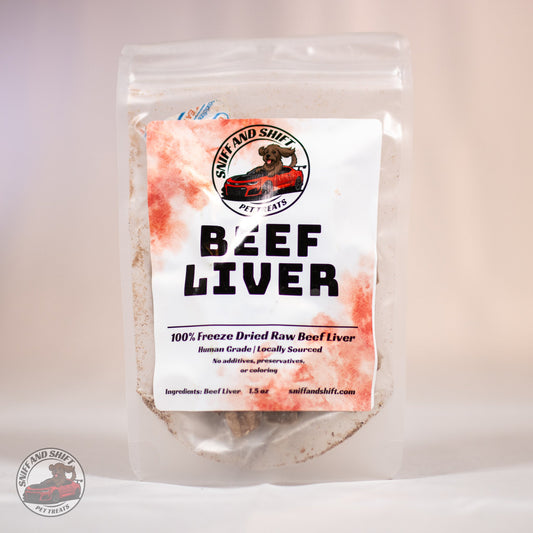 Labrador retriever focused on a lean freeze-dried training treat