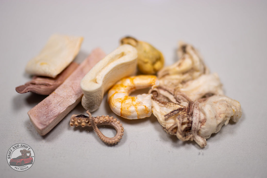 A flat-lay lineup of Sniff and Shift freeze-dried treats on a garage floor