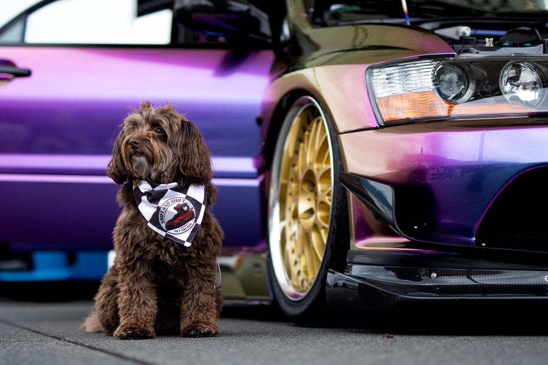 Ella sits looking at the camera beside the color-shift wrapped car's clean three-quarter front end.
