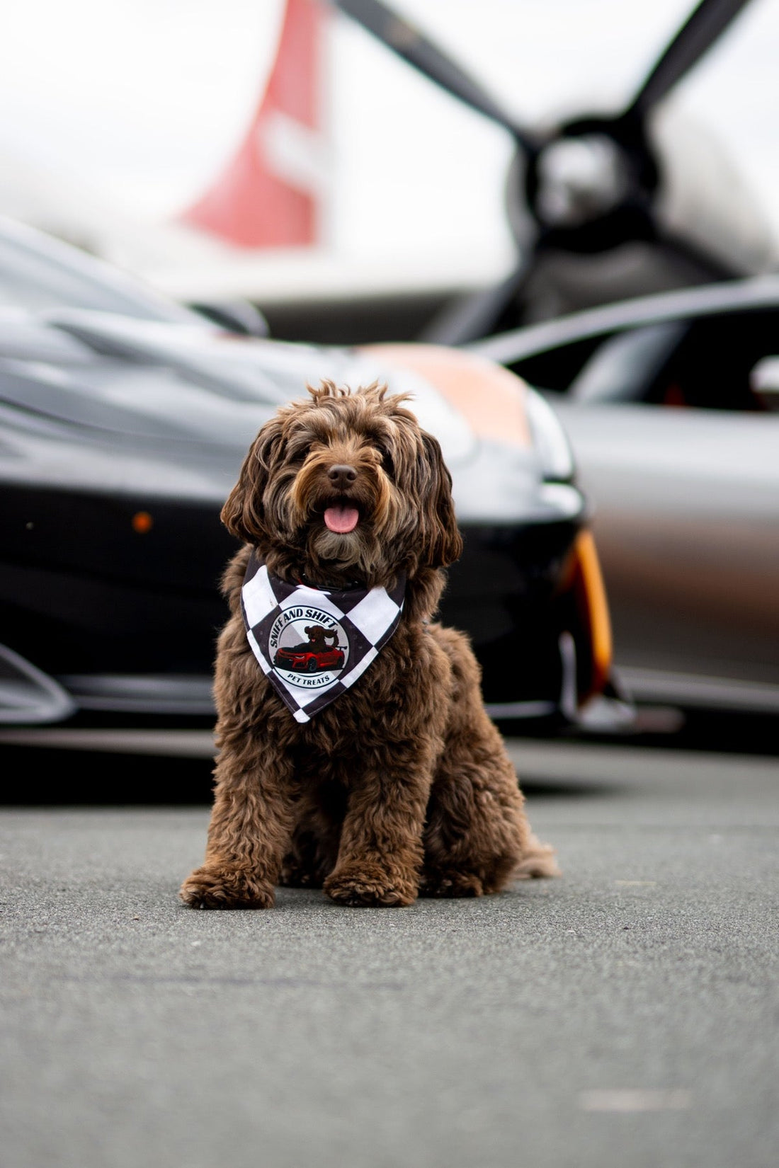 Ella sits with her tongue out in front of a McLaren, a spinning propeller visible above her.