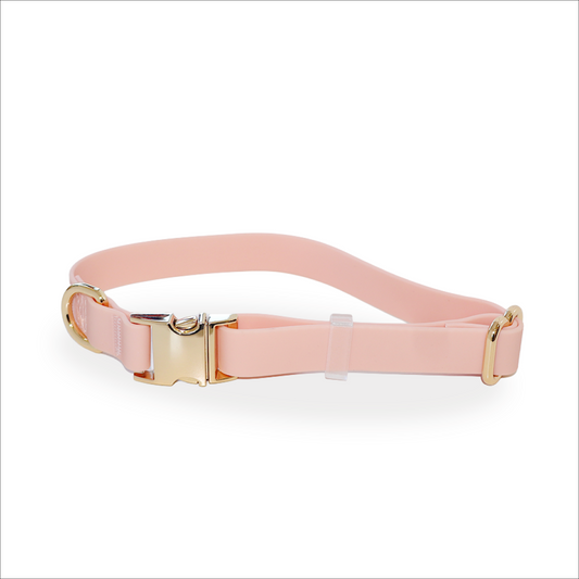 Waterproof Dog Collar, Pink, Lucky Dog Pet Company, sold through Sniff and Shift