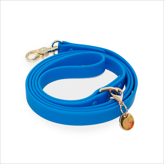 Waterproof Dog Leash, Blue, Lucky Dog Pet Company, sold through Sniff and Shift