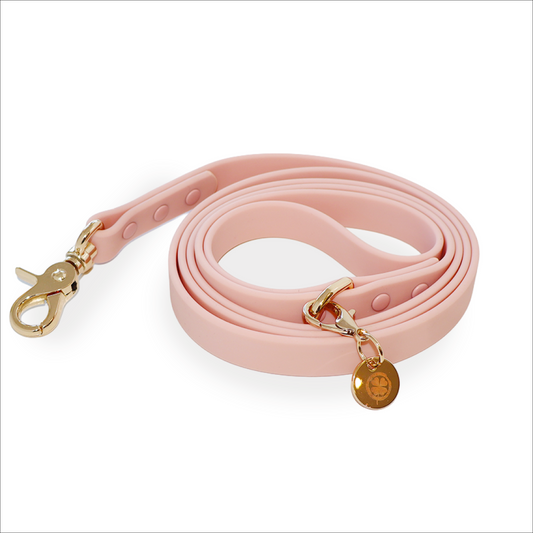 Waterproof Dog Leash, Pink, Lucky Dog Pet Company, sold through Sniff and Shift