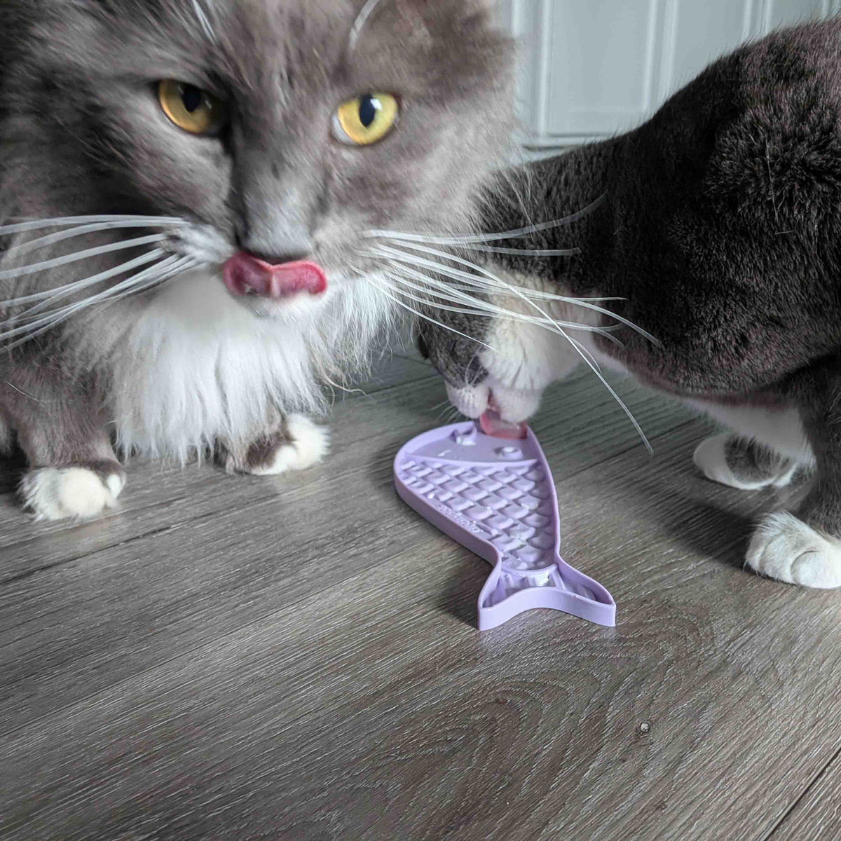 Goldfish eMat Lick Mat for Cats Small