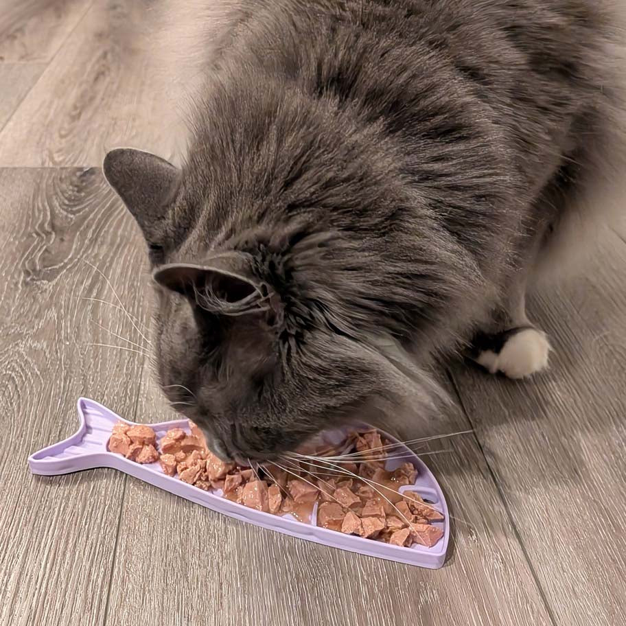 Goldfish eMat Lick Mat for Cats Small