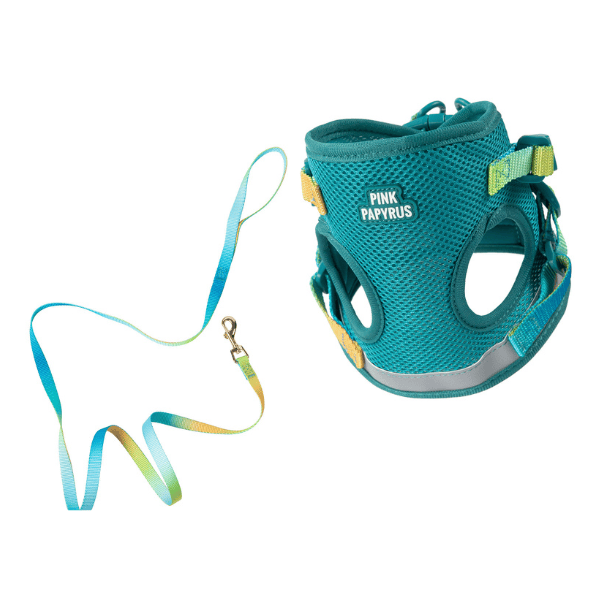 Joey Cat Harness & Leash Set in teal, sizes Small to Large, Pink Papyrus Co., sold through Sniff and Shift