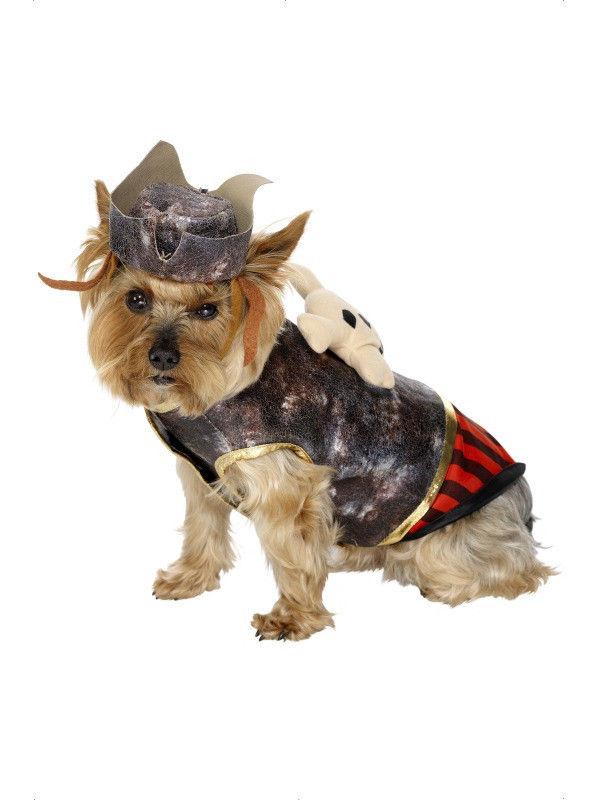 Small dog wearing the Pirate Dog Costume waistcoat and hat, Halloween Store, sold through Sniff and Shift
