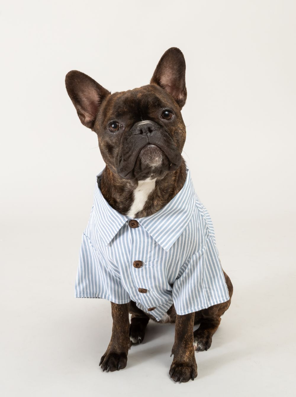 Hamptons Set, Dog and Adult Sizes