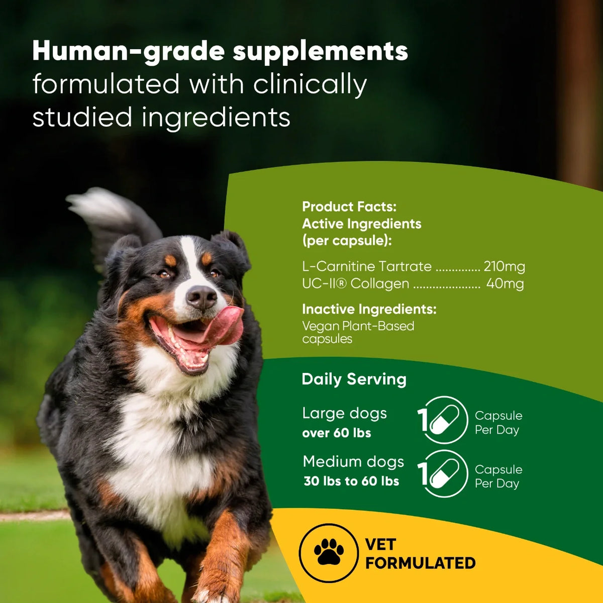 Joint & Muscle Health for Medium & Large Dogs