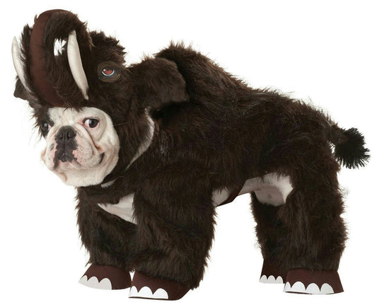 Dog wearing the Animal Planet Wooly Mammoth Dog Costume in XS, Halloween Store, sold through Sniff and Shift