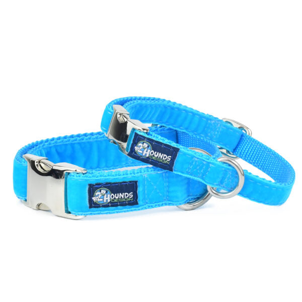 Turquoise Velvet Essential Martingale Dog Collar by 2 Hounds Design, sold through Sniff and Shift