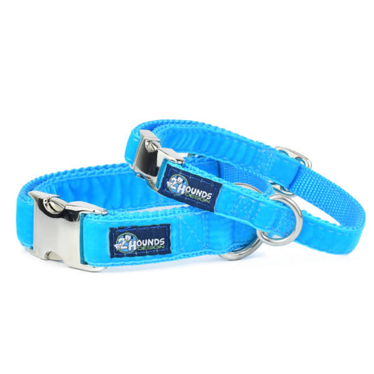 Turquoise Velvet Essential Buckle Martingale Dog Collar by 2 Hounds Design, sold through Sniff and Shift